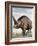 Elasmotherium-null-Framed Photographic Print