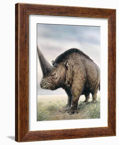 Elasmotherium-null-Framed Photographic Print