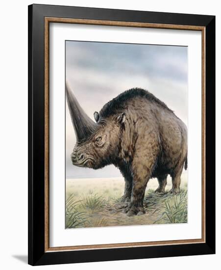 Elasmotherium-null-Framed Photographic Print
