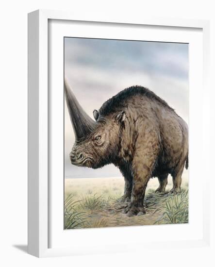 Elasmotherium-null-Framed Photographic Print