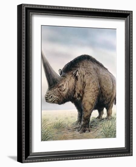 Elasmotherium-null-Framed Photographic Print