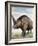 Elasmotherium-null-Framed Photographic Print