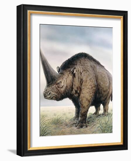 Elasmotherium-null-Framed Photographic Print