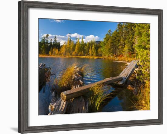 Elbow Pond, Baxter State Park, Maine, New England, United States of America, North America-Alan Copson-Framed Photographic Print