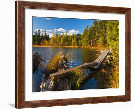 Elbow Pond, Baxter State Park, Maine, New England, United States of America, North America-Alan Copson-Framed Photographic Print