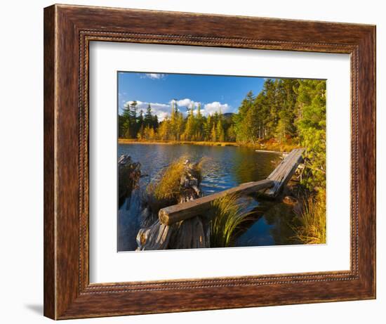 Elbow Pond, Baxter State Park, Maine, New England, United States of America, North America-Alan Copson-Framed Photographic Print