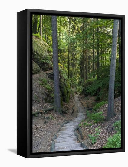 Elbsandsteingebirge, in the NP Saxon Switzerland. Hiking Trails-Martin Zwick-Framed Premier Image Canvas