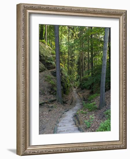 Elbsandsteingebirge, in the NP Saxon Switzerland. Hiking Trails-Martin Zwick-Framed Photographic Print