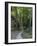 Elbsandsteingebirge, in the NP Saxon Switzerland. Hiking Trails-Martin Zwick-Framed Photographic Print