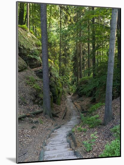 Elbsandsteingebirge, in the NP Saxon Switzerland. Hiking Trails-Martin Zwick-Mounted Photographic Print