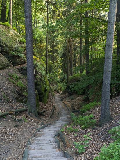 Elbsandsteingebirge, in the NP Saxon Switzerland. Hiking 