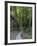 Elbsandsteingebirge, in the NP Saxon Switzerland. Hiking Trails-Martin Zwick-Framed Photographic Print