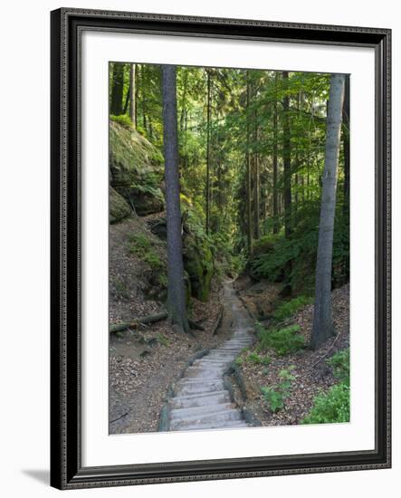 Elbsandsteingebirge, in the NP Saxon Switzerland. Hiking Trails-Martin Zwick-Framed Photographic Print