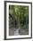 Elbsandsteingebirge, in the NP Saxon Switzerland. Hiking Trails-Martin Zwick-Framed Photographic Print