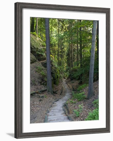 Elbsandsteingebirge, in the NP Saxon Switzerland. Hiking Trails-Martin Zwick-Framed Photographic Print