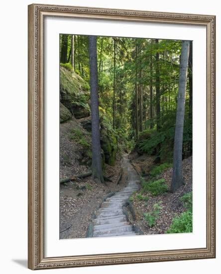 Elbsandsteingebirge, in the NP Saxon Switzerland. Hiking Trails-Martin Zwick-Framed Photographic Print