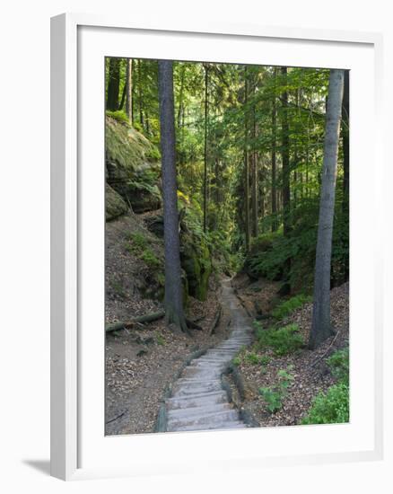 Elbsandsteingebirge, in the NP Saxon Switzerland. Hiking Trails-Martin Zwick-Framed Photographic Print