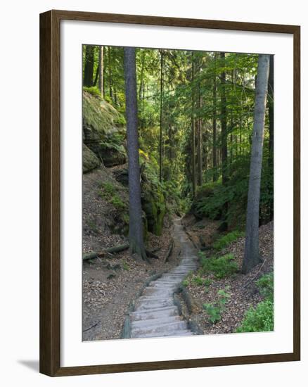 Elbsandsteingebirge, in the NP Saxon Switzerland. Hiking Trails-Martin Zwick-Framed Photographic Print