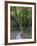 Elbsandsteingebirge, in the NP Saxon Switzerland. Hiking Trails-Martin Zwick-Framed Photographic Print