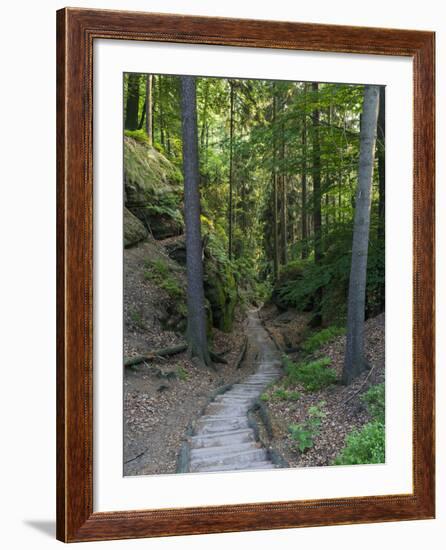 Elbsandsteingebirge, in the NP Saxon Switzerland. Hiking Trails-Martin Zwick-Framed Photographic Print