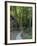 Elbsandsteingebirge, in the NP Saxon Switzerland. Hiking Trails-Martin Zwick-Framed Photographic Print