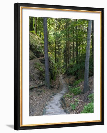 Elbsandsteingebirge, in the NP Saxon Switzerland. Hiking Trails-Martin Zwick-Framed Photographic Print