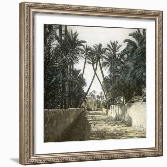 Elche (Spain), a Street, Circa 1885-1890-Leon, Levy et Fils-Framed Photographic Print