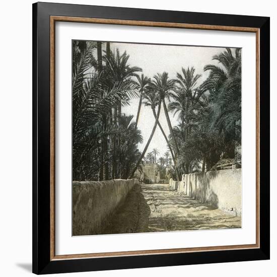 Elche (Spain), a Street, Circa 1885-1890-Leon, Levy et Fils-Framed Photographic Print