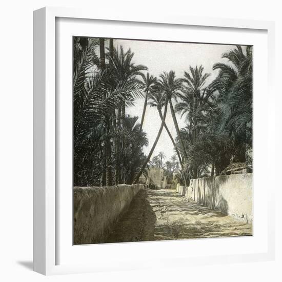 Elche (Spain), a Street, Circa 1885-1890-Leon, Levy et Fils-Framed Photographic Print