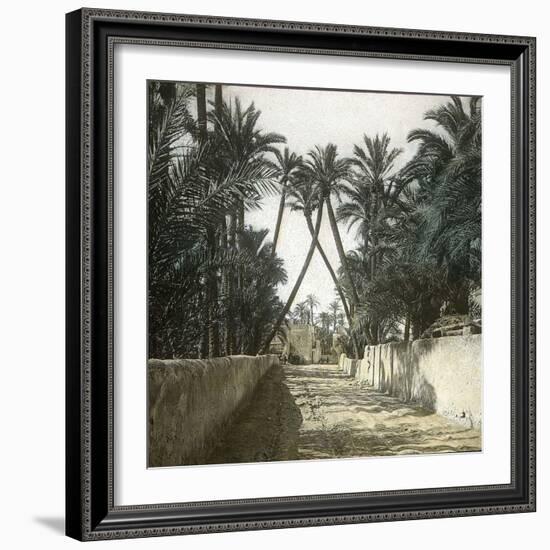 Elche (Spain), a Street, Circa 1885-1890-Leon, Levy et Fils-Framed Photographic Print