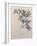 Elder, Walberswick, 1915-Charles Rennie Mackintosh-Framed Giclee Print