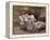 Elderly Couple-Dianne Dengel-Framed Premier Image Canvas