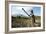 Elderly Female Farmer, Timor-Leste-Louise Murray-Framed Photographic Print