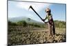 Elderly Female Farmer, Timor-Leste-Louise Murray-Mounted Photographic Print