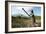 Elderly Female Farmer, Timor-Leste-Louise Murray-Framed Photographic Print