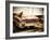 Eldorado-Stephen Arens-Framed Photographic Print