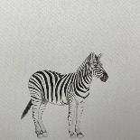 Zebra, 2018,-Ele Grafton-Giclee Print