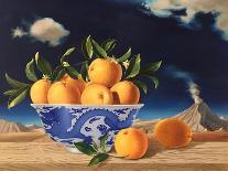 Chinese Bowl of Oranges, 2014-ELEANOR FEIN FEIN-Framed Giclee Print
