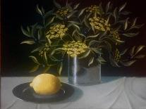 Lemon-ELEANOR FEIN-Giclee Print