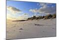 Photographic Print