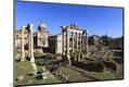 Premium Photographic Print
