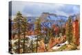 Stretched Canvas Print