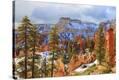 Stretched Canvas Print