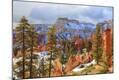 Photographic Print
