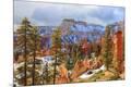 Photographic Print