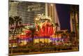 Photographic Print