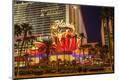 Photographic Print