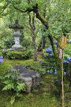 Tenryu-Ji Temple Garden, Japan-Eleanor Scriven-Photographic Print