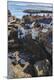 Premium Photographic Print