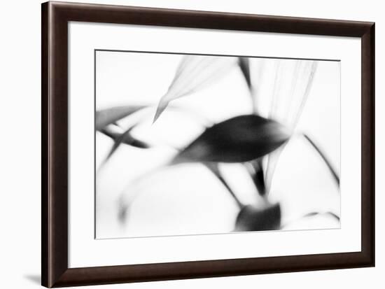 Electric Blast-Markus Lange-Framed Giclee Print